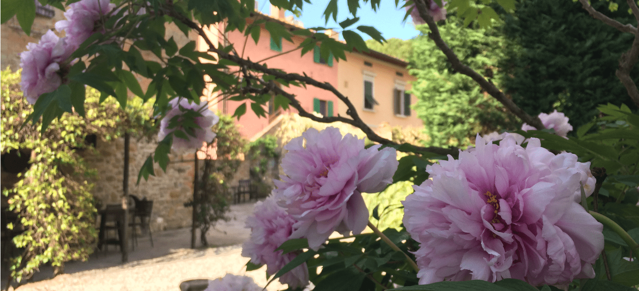 Borgo San Benedetto - 17